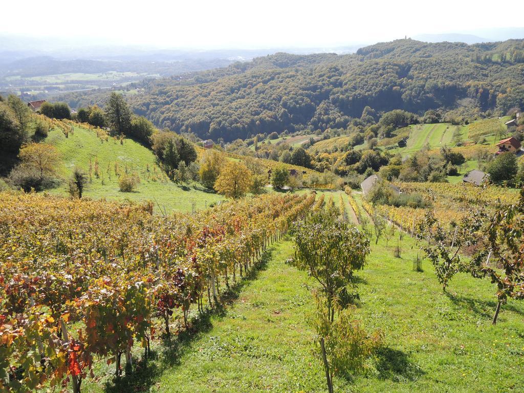 Vineyard Cottage Janko & Metka Otocec Bagian luar foto