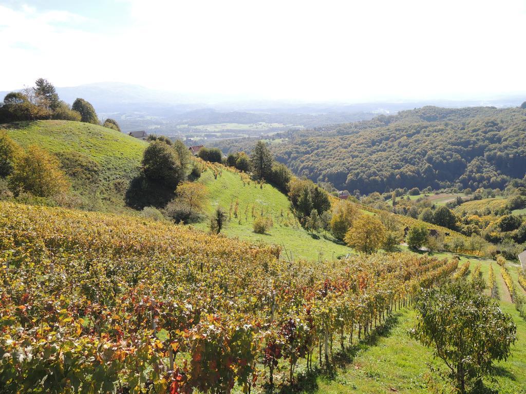 Vineyard Cottage Janko & Metka Otocec Bagian luar foto
